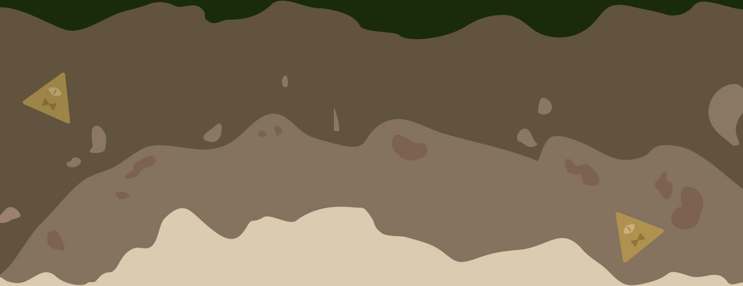 Layer of dirt with tiny Bill's.